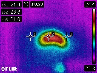 Infrared image of apple sample